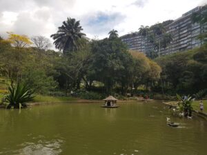 Apartamentos CTV na planta na Rua Moura Brasil 44 Laranjeiras