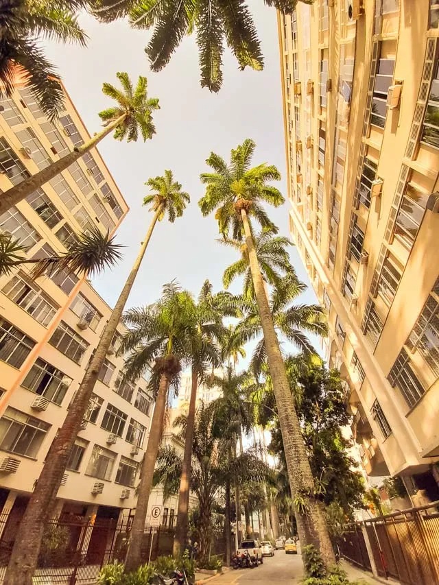 Apartamentos CTV na planta na Rua Moura Brasil 44 Laranjeiras