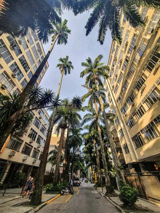 Pré-lançamento em Laranjeiras Progress 2025 na Rua Moura Brasil 44 studios e 1 quarto