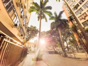 Perguntas que Definem a Compra na Rua Moura Brasil 44 Laranjeiras