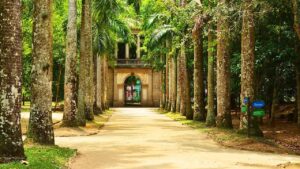 Casas em Construção no Jardim Botânico Fator Realty mai 2026
