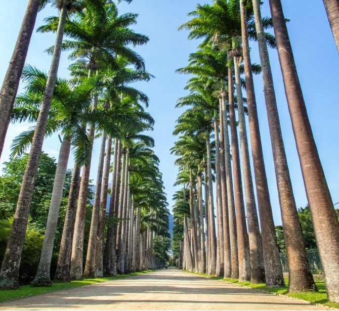 Pré-Lançamento de Casas de Alto Padrão da Fator no Jardim Botânico Preços e Lazer