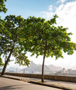 Apartamentos 2 Quartos com Vaga na Rua Gago Coutinho Laranjeiras