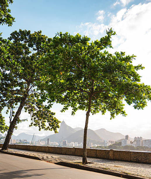 Apartamentos 2 Quartos com Vaga na Rua Gago Coutinho Laranjeiras