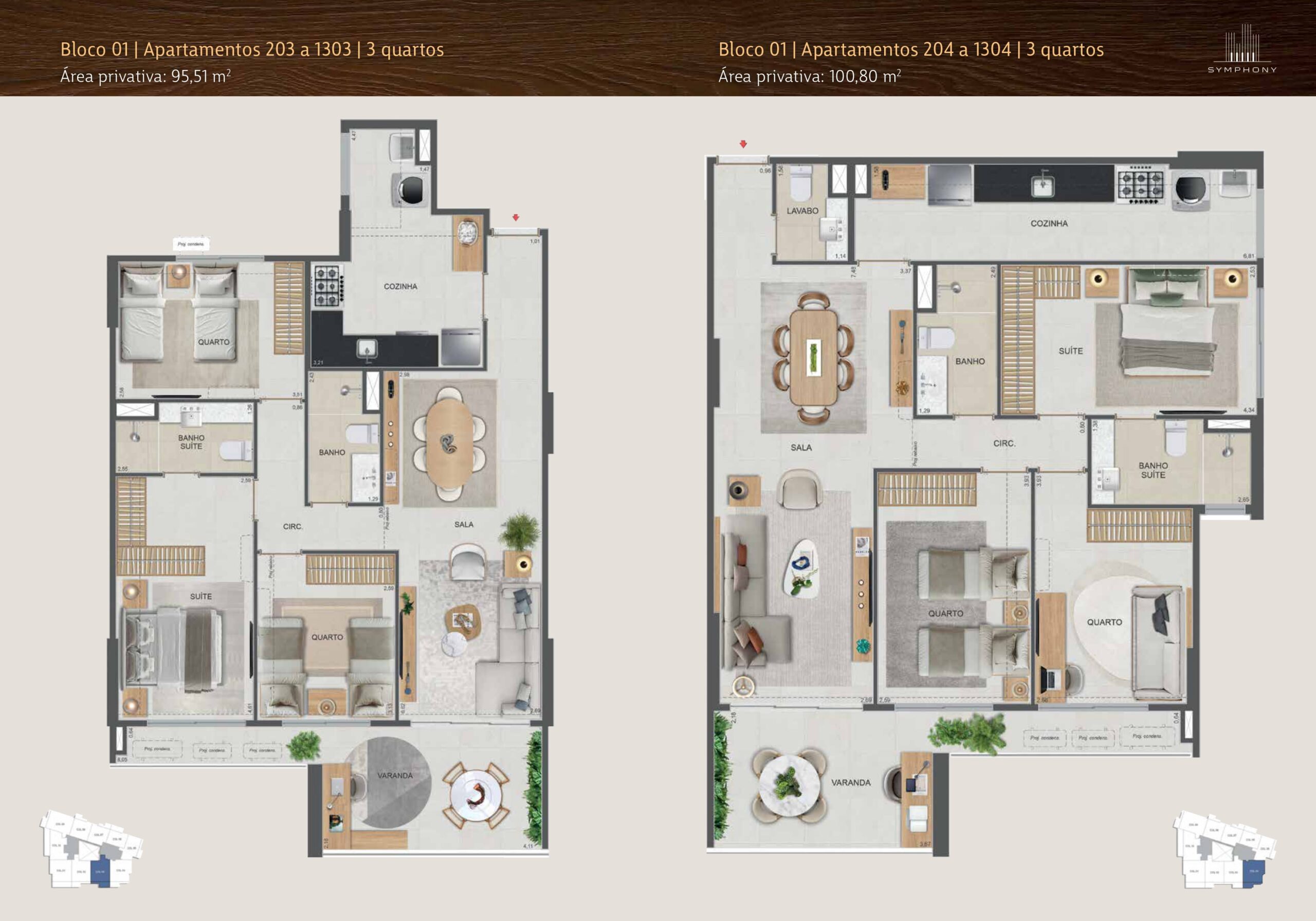 Planta 41